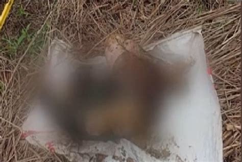 Estudyante tinodas ng rapist, nilibing sa bundok.